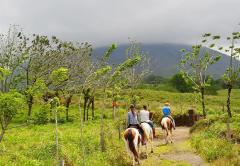 Arenal Paraiso Resort & Spa