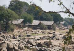 Foxes Ruaha River Lodge