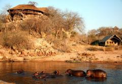 Foxes Ruaha River Lodge