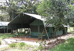 Mara Springs Safari Camp