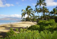 Maui Coast Hotel