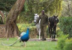 Mount Kenya Safari Club