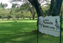 Naivasha Simba Lodge