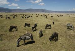 Ngorongoro Serena Safari Lodge