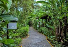 Pachira Lodge Tortuguero