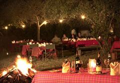 Sarova Mara Game Camp