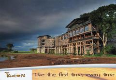 Treetops Hotel