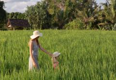 Westin Resort & Spa Ubud