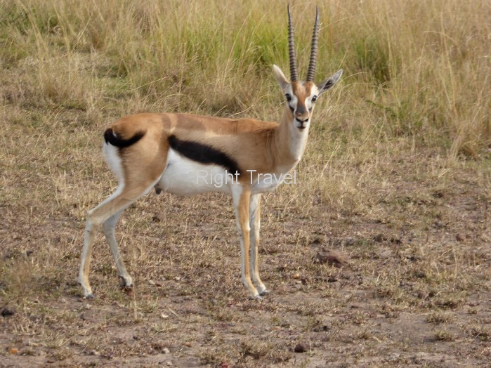 10 Day Kenya Discovery Safari