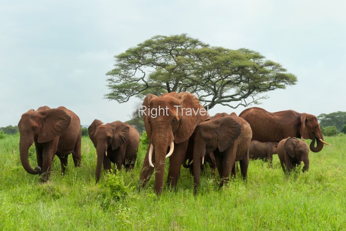 15 Day Best of East Africa